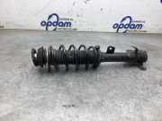 Federbein links vorne Suzuki Ignis III MF 4160273S31