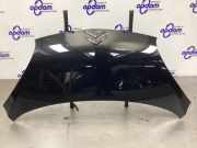 Motorhaube Citroen C1 1611149480