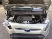 Motor ohne Anbauteile (Diesel) Ford Transit Connect V408 Kasten