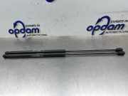 Gasfeder für Motorhaube Alfa Romeo 159 939 60688574