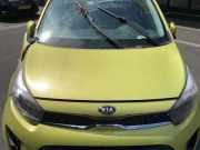Motorhaube Kia Picanto 3 JA 66400G6000