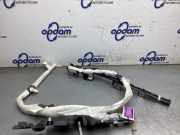 Airbag Dach rechts Toyota RAV 4 V A5, H5 641667400K