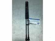 Gasdruckfeder Toyota Prius W5 689500W860