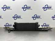 Ladeluftkühler Ford Transit Custom V362 Kasten FY, FZ CC119L440