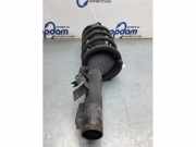 Federbein links vorne Ford Transit Custom V362 Kasten FY, FZ