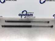 Heckklappendämpfer Peugeot 206 SW 2E/K 9642209980