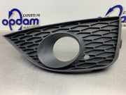 Lüftungsgitter für Stoßfänger Seat Ibiza IV 6J 6J0853666A