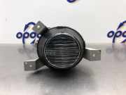 Nebelscheinwerfer links vorne Suzuki Ignis II MH 1071198L