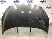 Motorhaube Peugeot 206+ T3E 7901R5