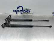 Heckklappendämpfer Renault Zoe BFM 904502915R