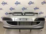 Frontschürze Peugeot 307