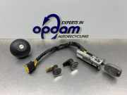 Schließzylinder Satz Renault Twingo I C06