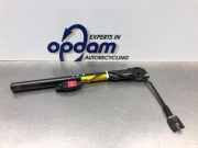 Gurtstraffer Renault Clio III BR0/1, CR0/1 8200794023