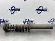 Federbein links hinten Renault Twingo I C06 8200103589