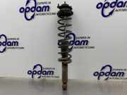 Federbein links hinten Toyota Starlet P8 4853010211