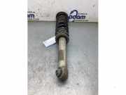 Federbein links hinten BMW 5er E60 33526766605