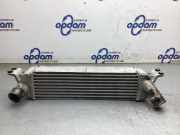 Luftfiltergehäuse Hyundai H-1 Cargo TQ