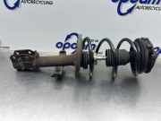 Federbein links vorne Renault Clio III BR0/1, CR0/1 8200676024