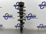 Federbein links vorne Ford Transit Connect P*2 2T1418K001BK