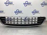 Kühlergrill Mini Mini Countryman R60 22405910