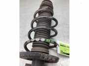 Federbein links vorne Skoda Fabia III Kombi NJ 6R0413031BF
