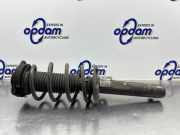 Federbein rechts vorne VW Caddy III Kasten 2KA 2K5412021G