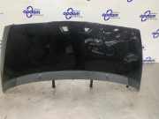 Motorhaube Peugeot 5008 I 7901R2