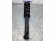 Federbein links hinten BMW 5er F10 XXXXX