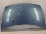 Motorhaube Citroen C3 FC 7901N0