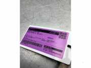 Lenkgetriebe Servo Renault Scenic IV J9 490018613R