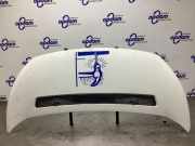 Motorhaube Peugeot Expert II Kasten VF 1608371780