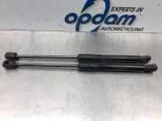 Gasdruckfeder Kia Picanto 2 TA 817801Y011