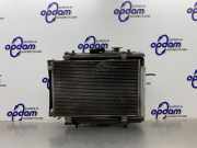 Kühlpaket Opel Agila H-B 2635005820