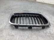Kühlergrill BMW 3er Touring F31 18801310