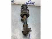 Federbein rechts vorne Suzuki Swift IV FZ, NZ 4160168L00