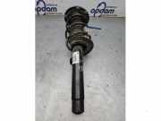 Federbein rechts vorne BMW 2er Cabriolet F23 14941510