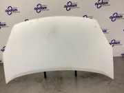 Motorhaube Peugeot Partner II Kasten 7901P7