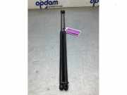 Heckklappendämpfer Renault Megane III Coupe DZ 904510002R