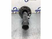 Federbein links vorne BMW 3er G20, G28, G80 31316888453