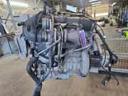 Motor ohne Anbauteile (Benzin) Mercedes-Benz B-Klasse Sports Tourer W246, W242