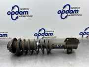 Federbein links vorne Suzuki Alto VI FF 41602M79G00