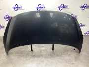 Motorhaube Peugeot 207 SW WK 7901N2