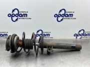 Federbein rechts vorne BMW 3er Touring E46 31316750786
