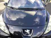 Motorhaube Peugeot 207 SW WK 7901N2