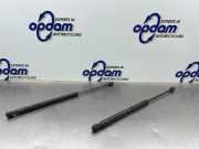 Heckklappendämpfer Lancia Ypsilon 843 46817935