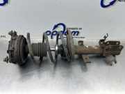 Federbein links vorne Renault Modus - Grand Modus P 8200127280