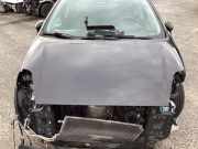 Motorhaube Fiat Punto Evo 199 0051701140