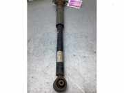 Stoßdämpfer links hinten VW Polo V 6R, 6C 6C0513025AH