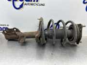 Federbein links vorne Hyundai i30 I FD 546512L200