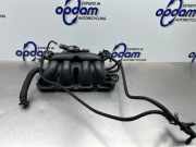 Verteilerrohr Kraftstoff Peugeot 207 CC 0361T0